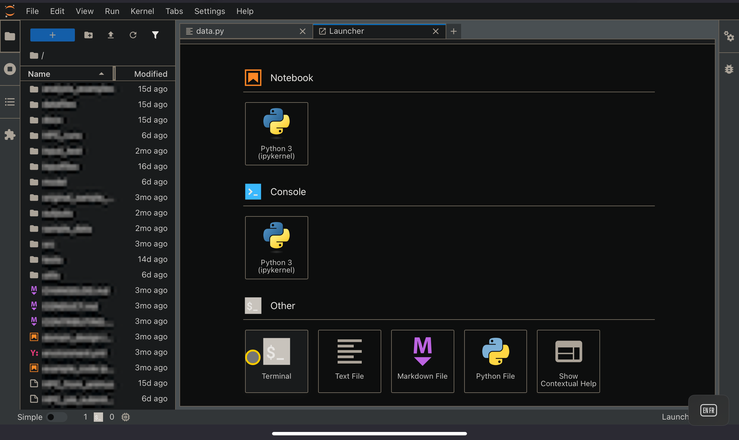 JupyterLab Launcher tab